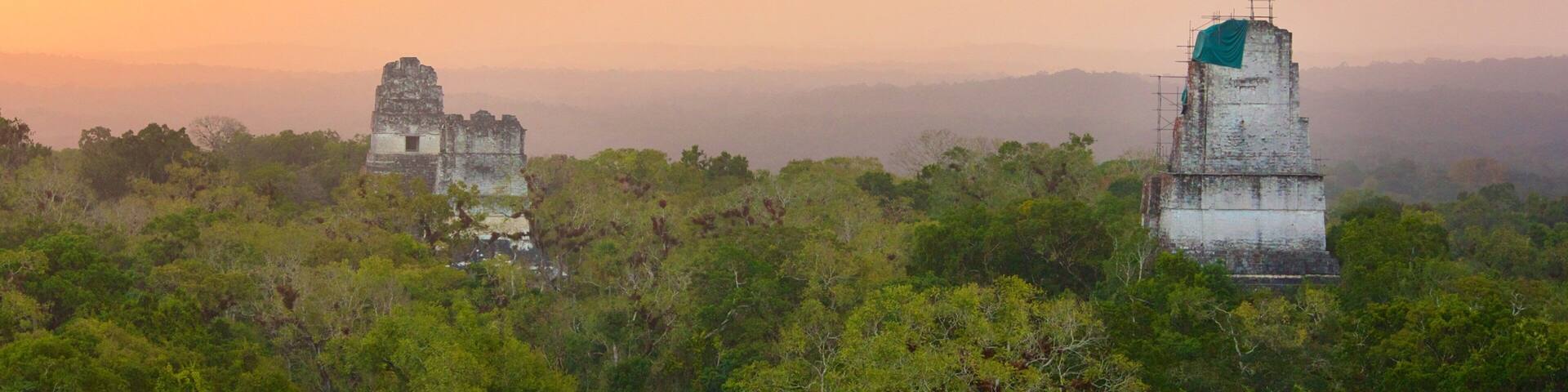 ティカル フィーチャー 夕焼け, 森林 と 静かな風景