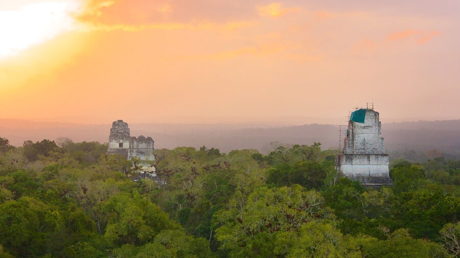 Tikal showing tranquil scenes, forests and heritage elements