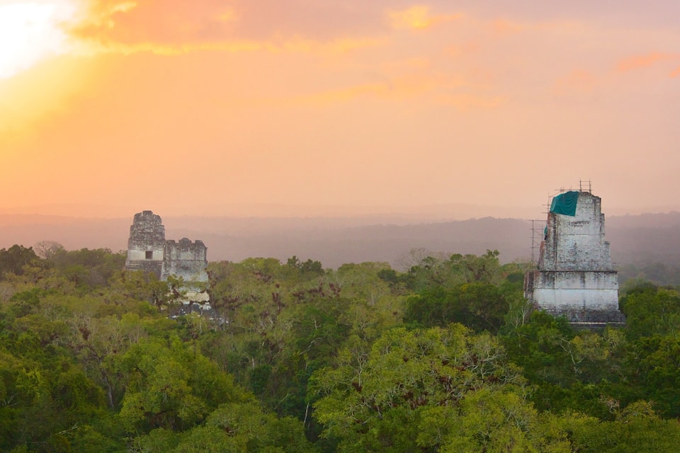 Una jungla con ruinas antiguas y un templo grande.