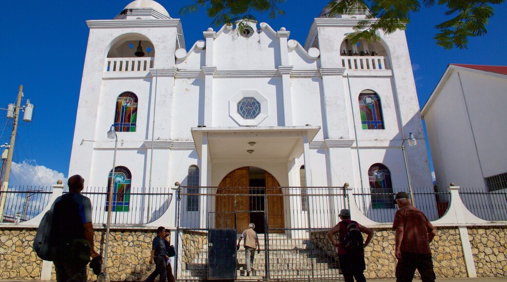 Cathedral of Flores showing a church or cathedral