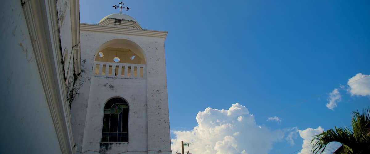 Cathedral of Flores showing a church or cathedral