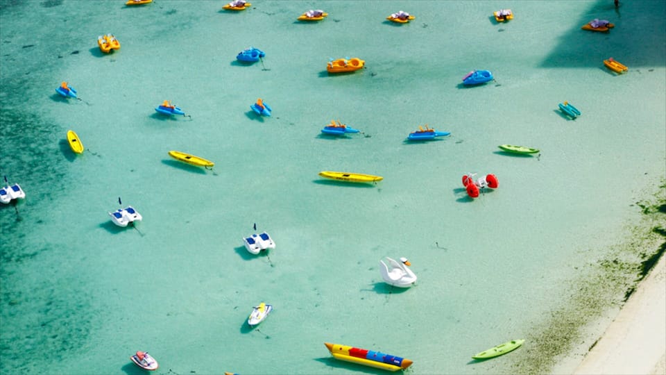 A beach with numerous colorful kayaks and paddleboards.