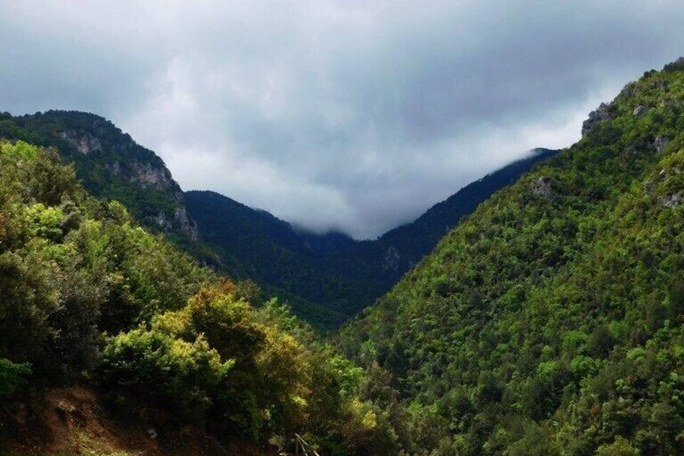 A mountainous landscape with dense green forests and a wooden staircase leading up a slope.