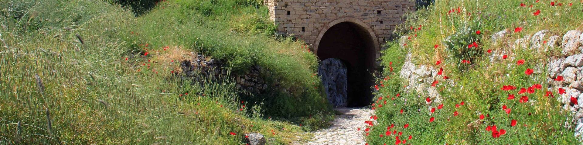 A lot of poppies and wild flowers growing in and around the walls of Acrocrinth fortress. Beautiful place for wandering around and great stop when visiting the Corinth ruins nearby.