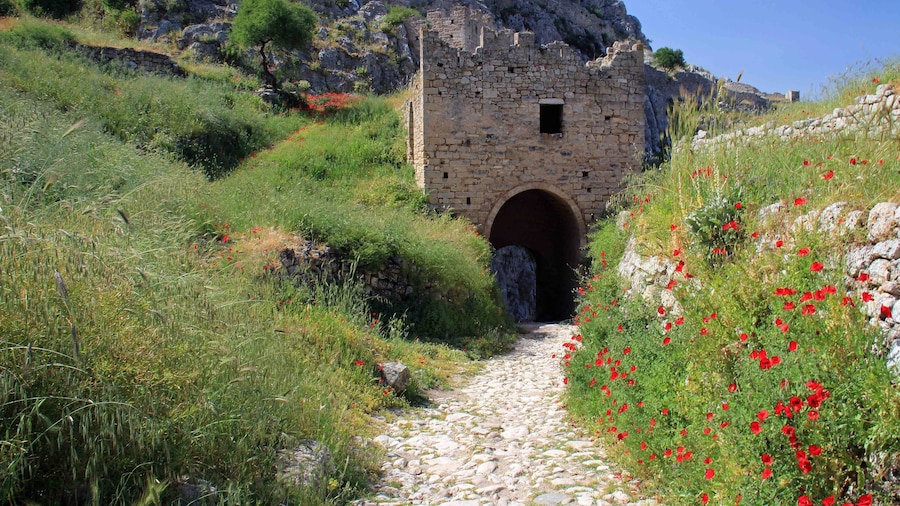 A lot of poppies and wild flowers growing in and around the walls of Acrocrinth fortress. Beautiful place for wandering around and great stop when visiting the Corinth ruins nearby.