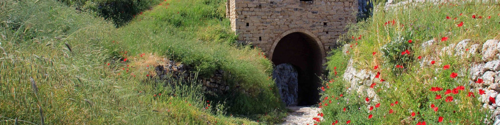 A lot of poppies and wild flowers growing in and around the walls of Acrocrinth fortress. Beautiful place for wandering around and great stop when visiting the Corinth ruins nearby.