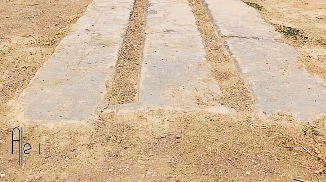 Where the Olympic Games started! #Greece #Olympia