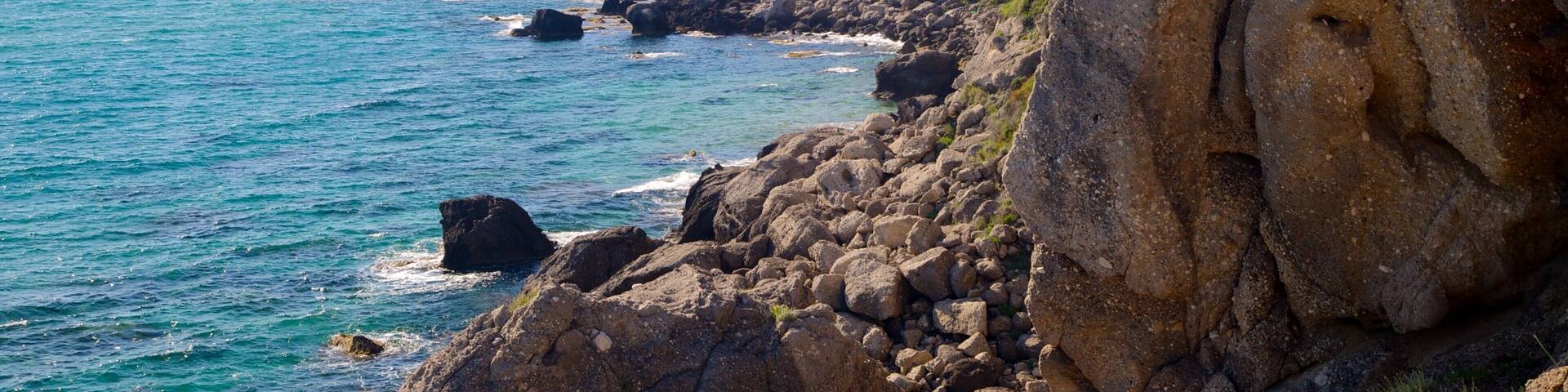 Pelekas Beach showing rocky coastline and landscape views