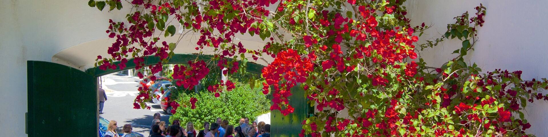 MonastĂšre Paleokastritsa qui includes fleurs
