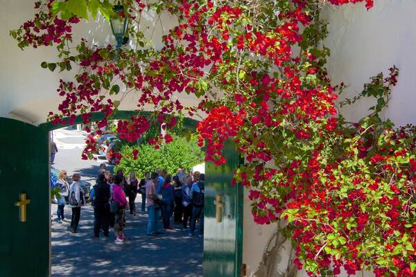 Monasterio de Paleokastritsa mostrando flores