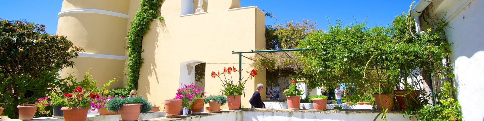 Paleokastritsa Monastery featuring religious aspects and a church or cathedral