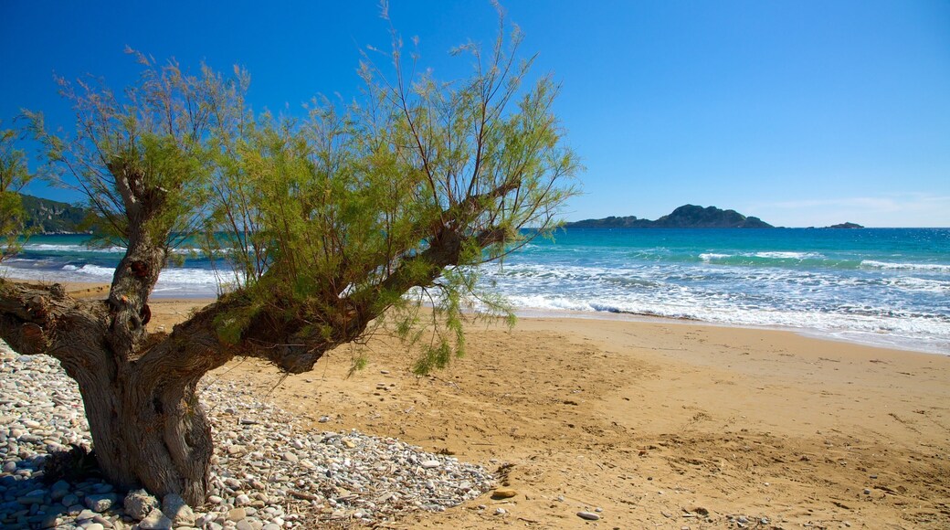 阿利拉斯海灘 其中包括 沙灘 和 風景圖