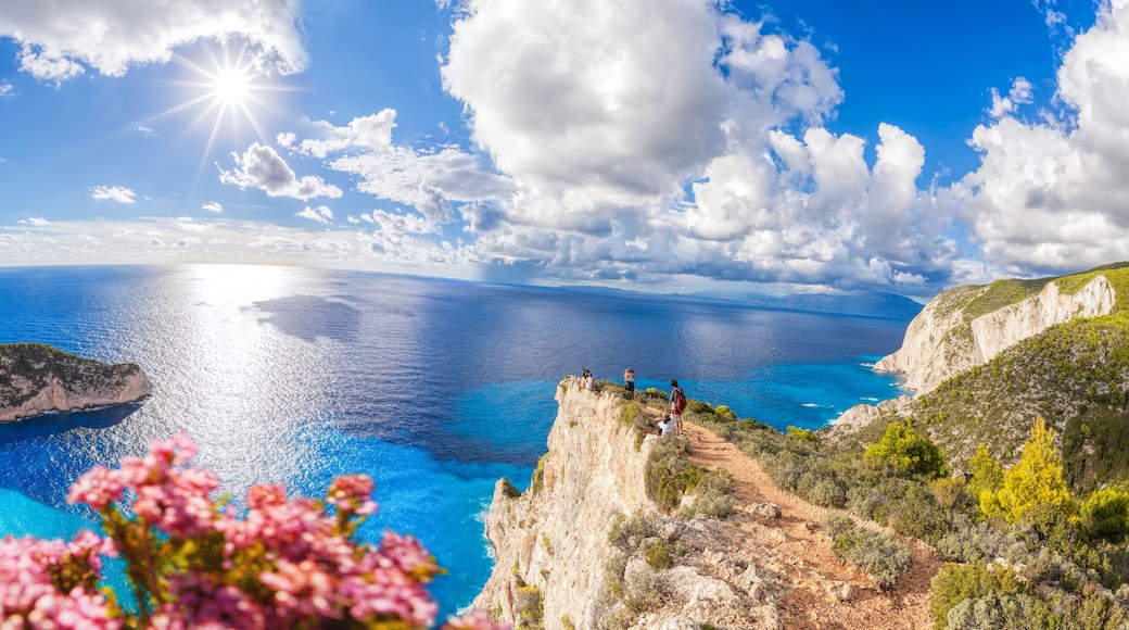 Navagio beach with shipwreck and flowers on Zakynthos island in Greece