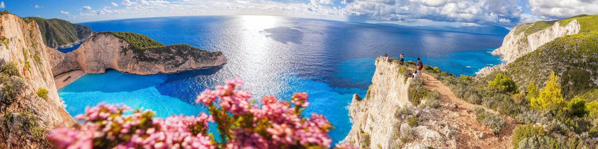 Navagio beach with shipwreck and flowers on Zakynthos island in Greece
