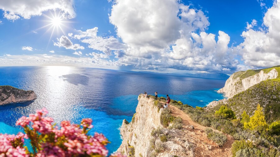 Navagio beach with shipwreck and flowers on Zakynthos island in Greece