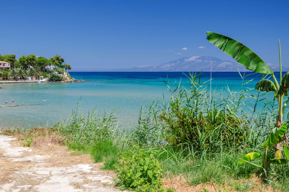 Uma trilha costeira leva a uma praia com águas turquesa cristalinas, uma montanha ao fundo e uma bananeira em primeiro plano.
