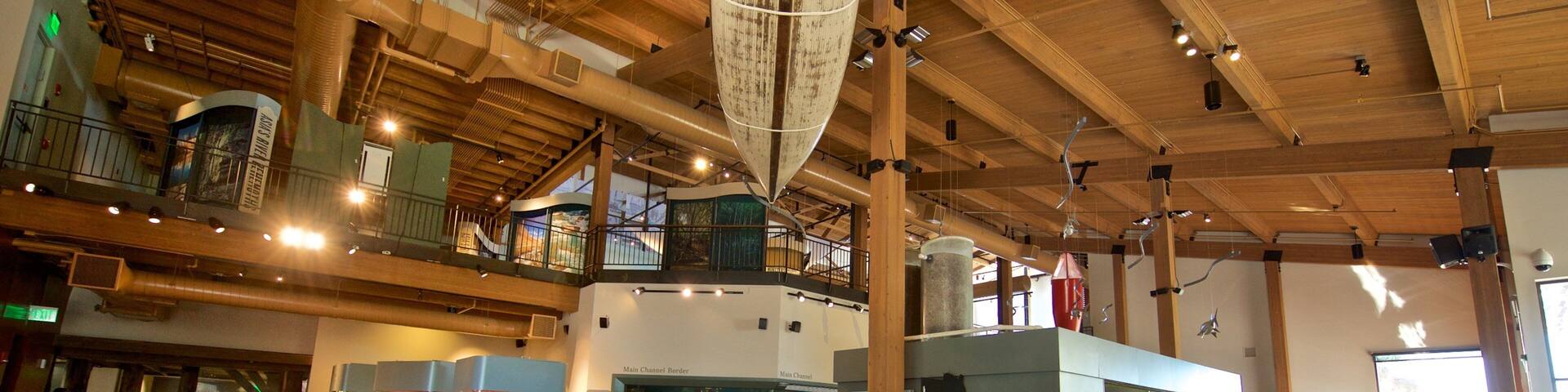 National Mississippi River Museum and Aquarium ofreciendo vistas interiores