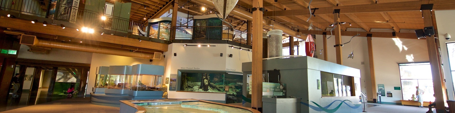 National Mississippi River Museum and Aquarium featuring interior views