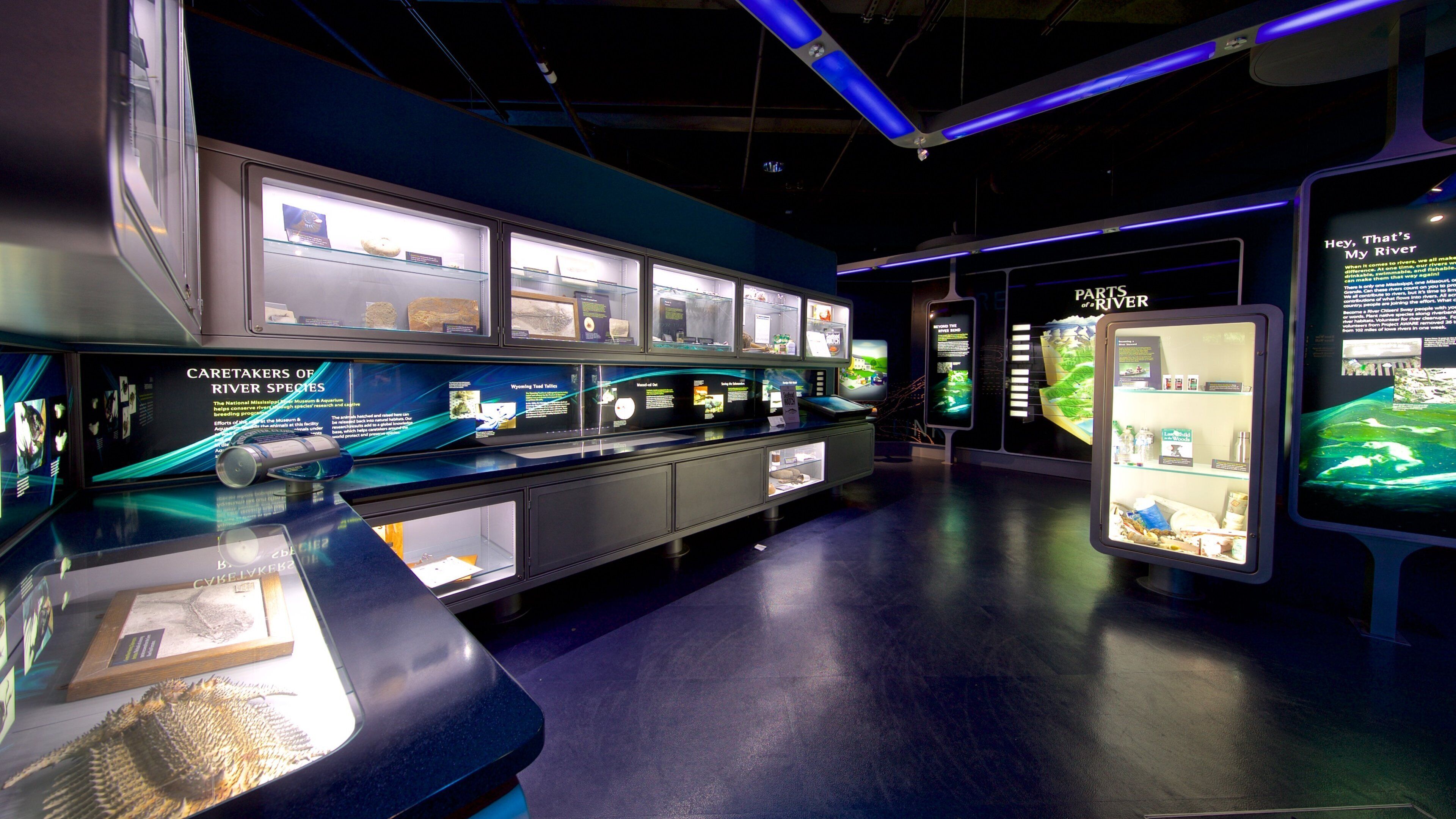 National Mississippi River Museum and Aquarium which includes interior views and marine life