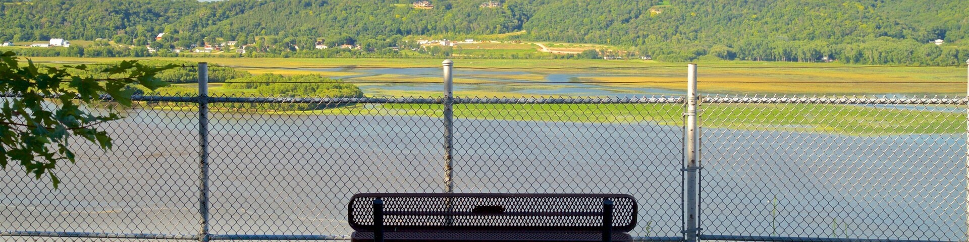 Eagle Point Park mostrando paisagem, paisagens e flores silvestres