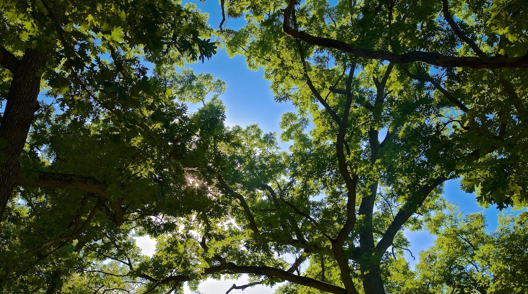 Eagle Point Park featuring a garden