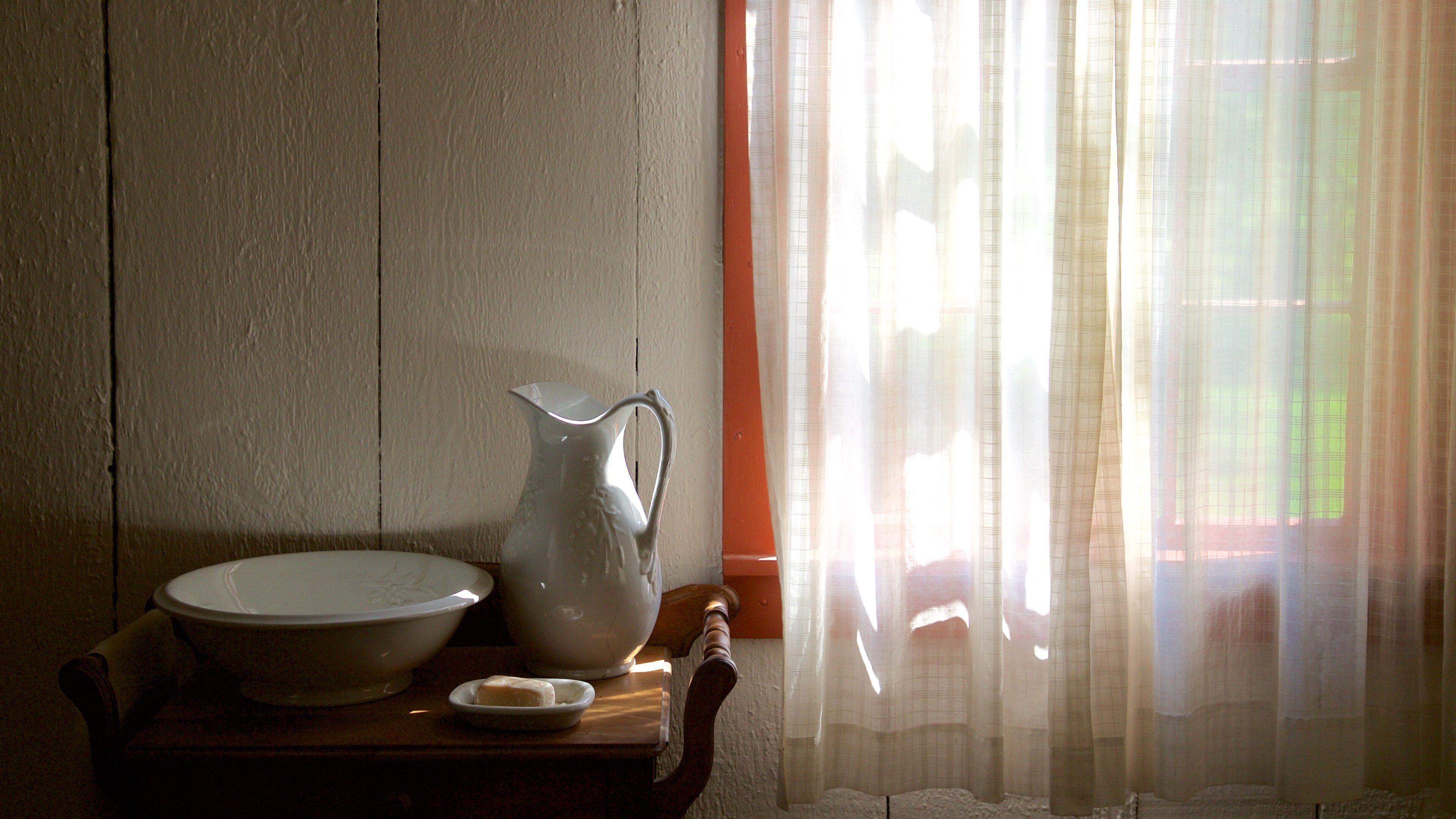 Herbert Hoover National Historic Site featuring interior views and a house