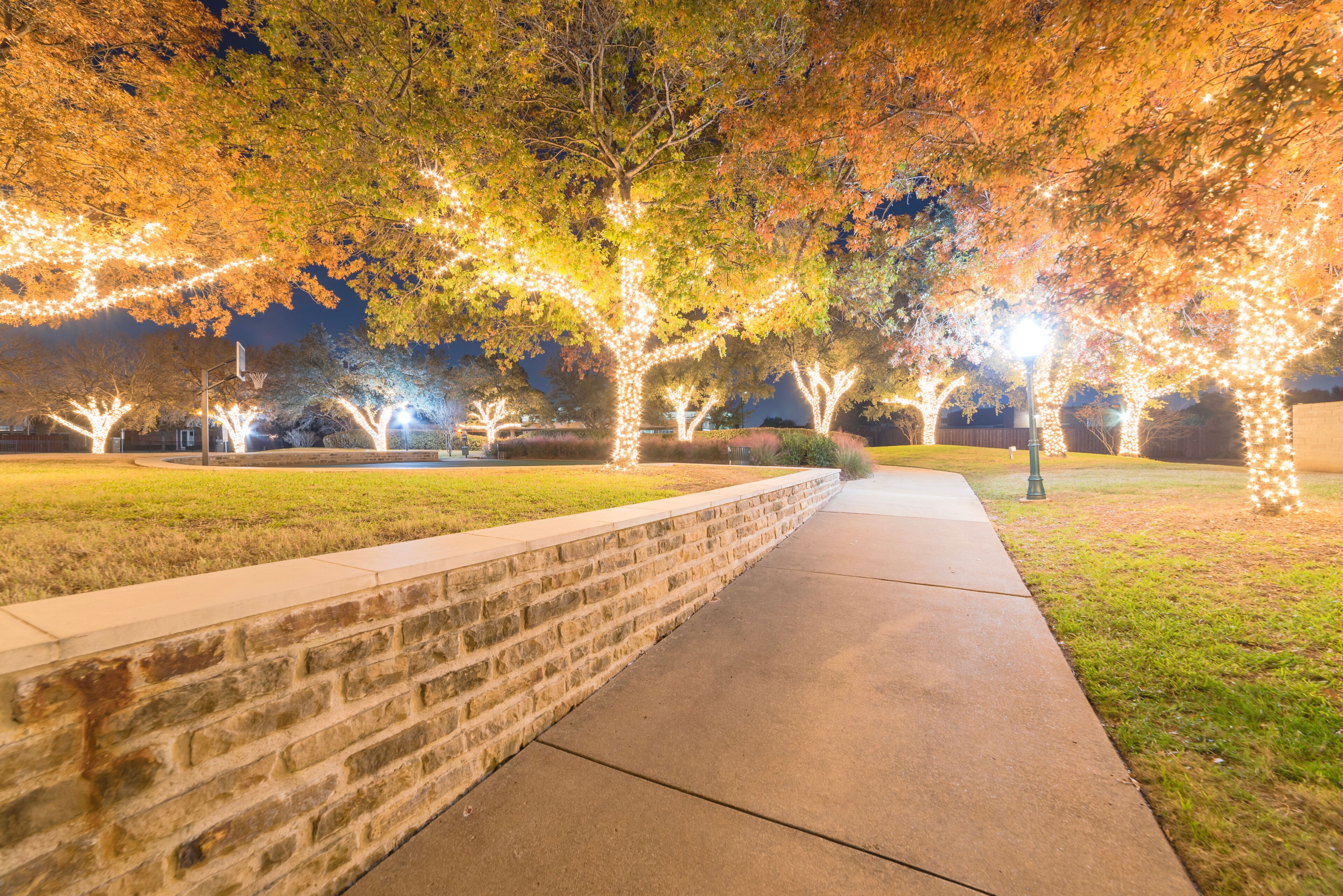 Christmas and New Year celebration lighting at public park near Dallas, Texas, USA. Beautiful Xmas decoration illumined string led on colorful fall foliage trees background.