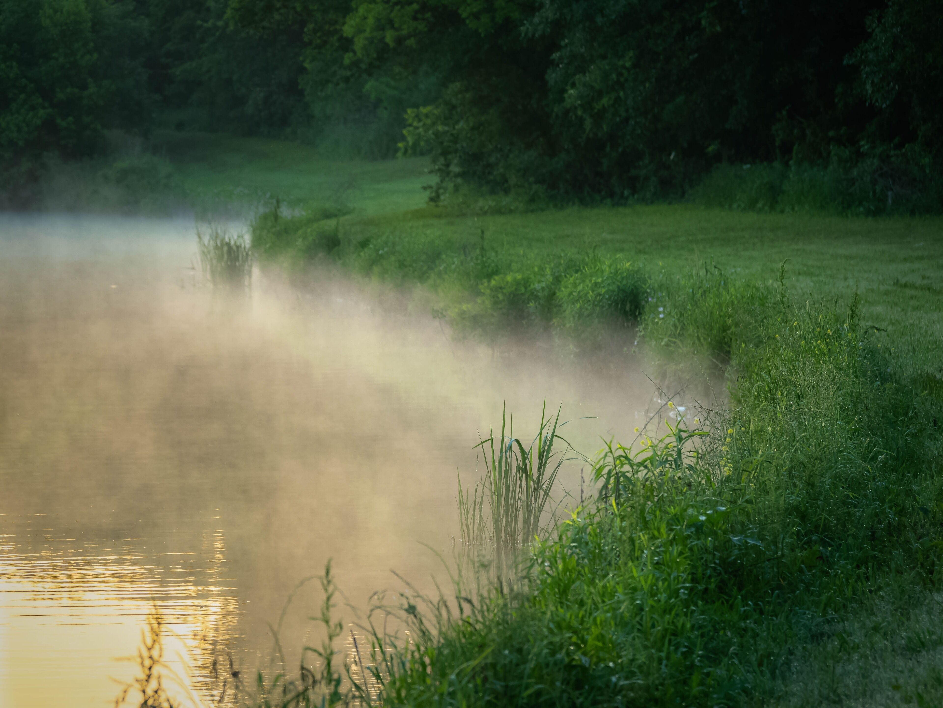 Early morning mist at one of the ponds at Breckinridge Park near my home. #mybackyard