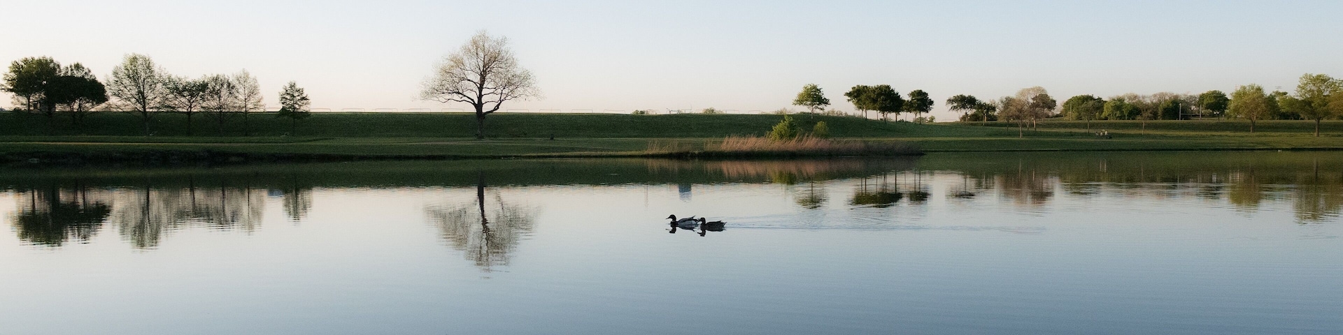 Serenity. Two ducks glide on a glassy pond at my neighborhood park. #MyBackyard