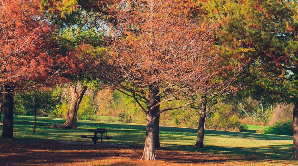 Autumn Reflections in Crowley Park, Richardson, Texas