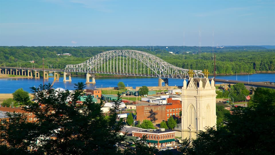 A steel arch bridge over a river, surrounded by greenery and buildings.