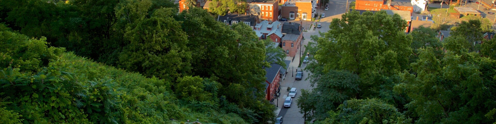 Fourth Street Elevator showing a small town or village, a gondola and landscape views