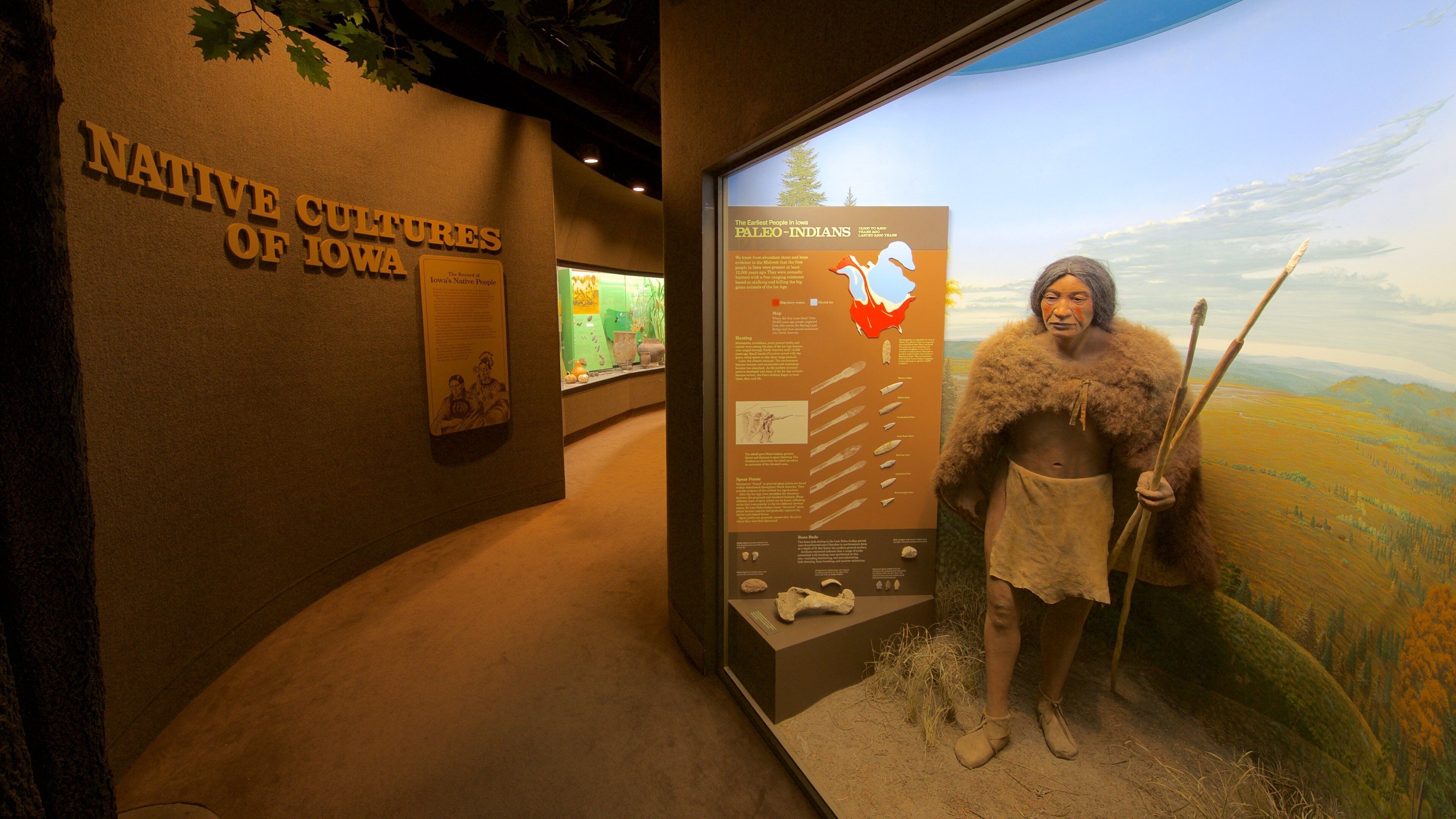 Iowa Museum of Natural History presenterar interiörer
