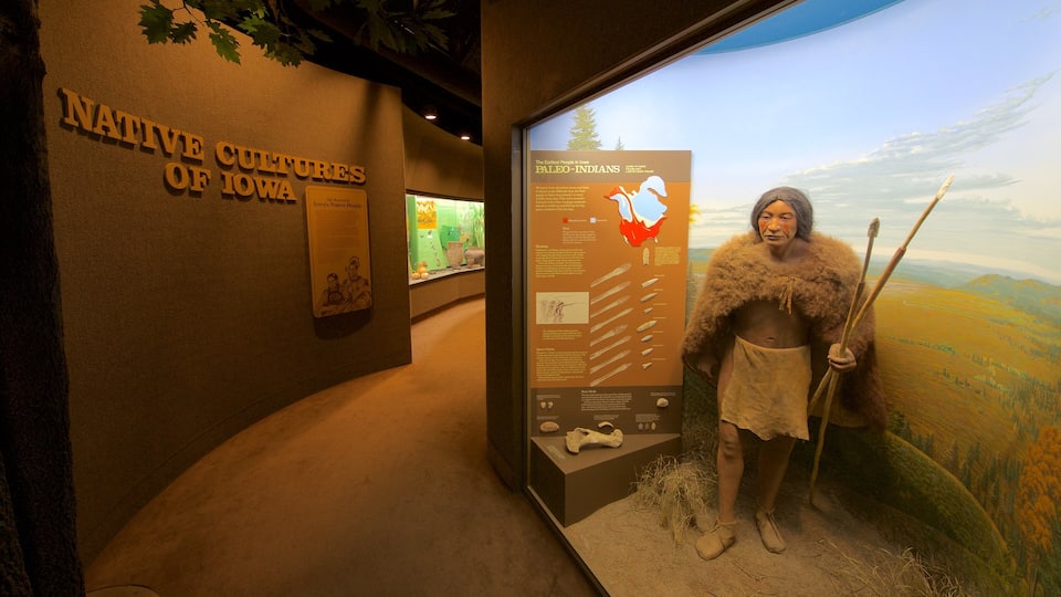 A museum exhibit about Native cultures of Iowa, including a display of a Native American figure with a spear and a map.