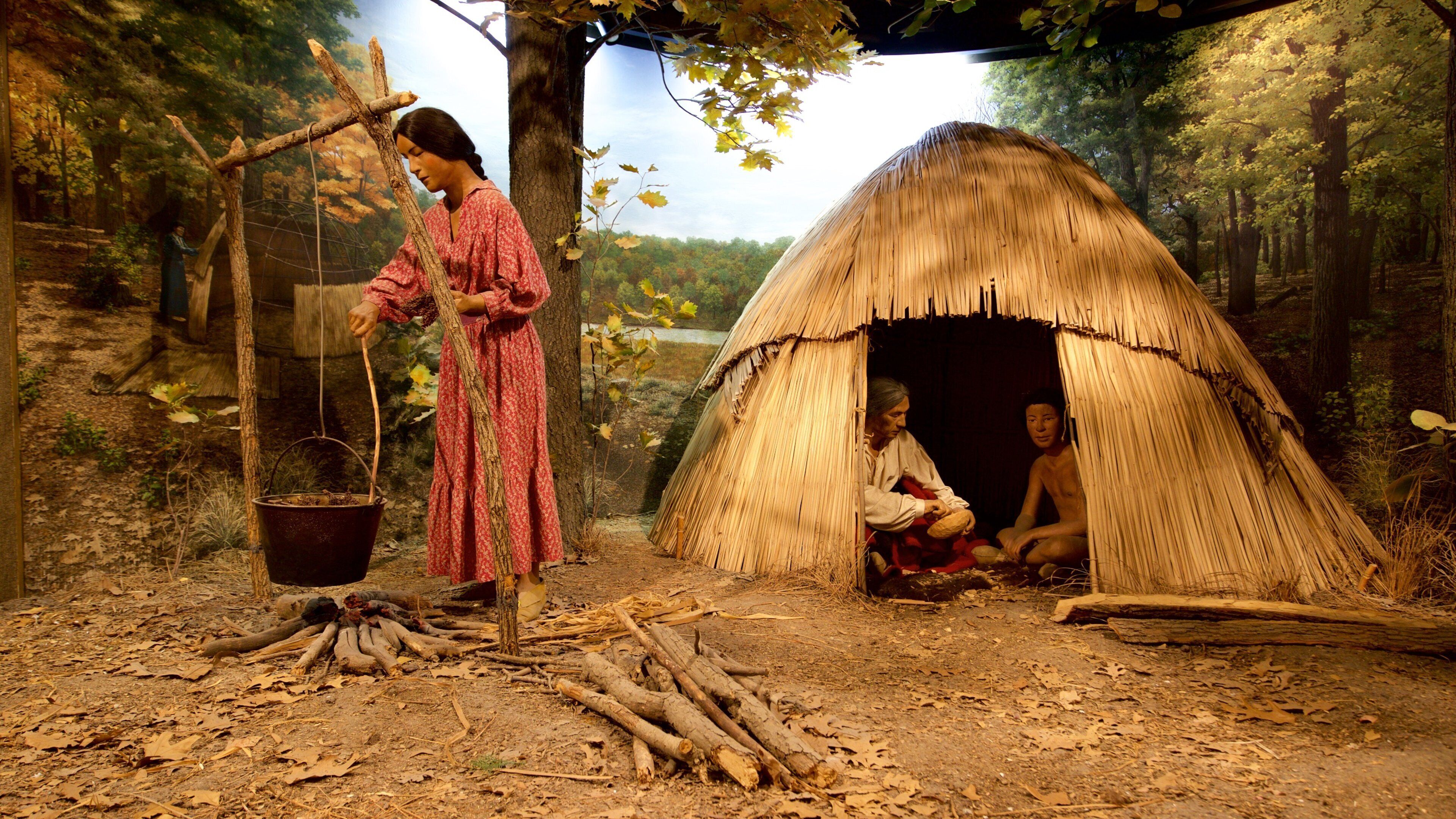 Iowa Museum of Natural History featuring interior views