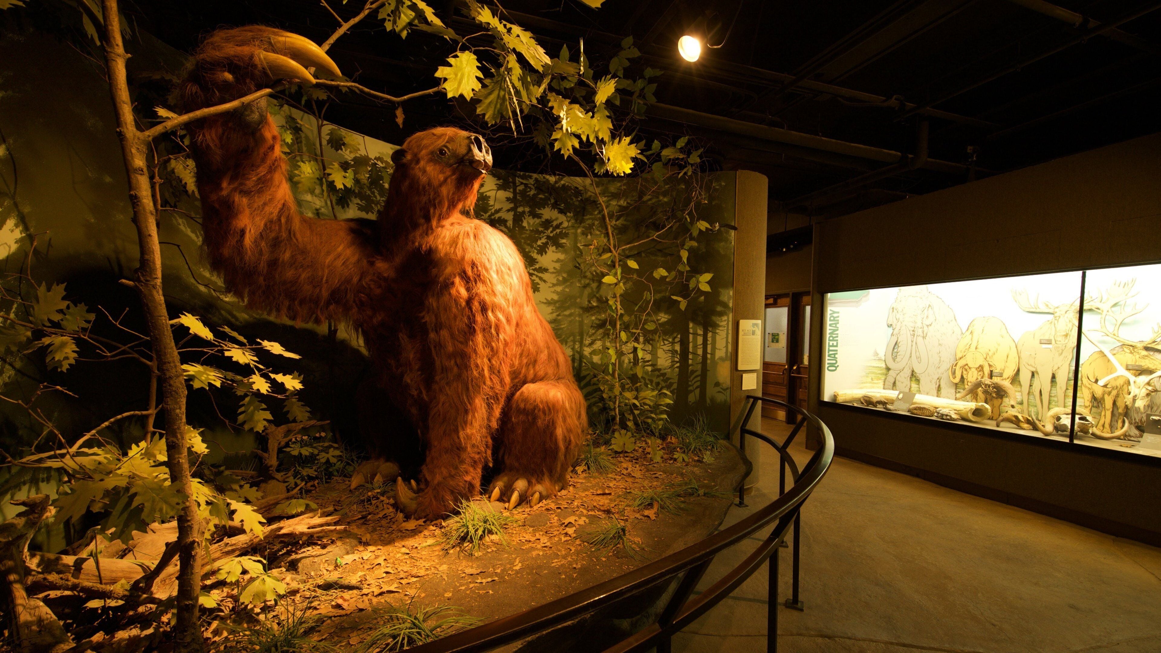 A large mammal exhibit with a camel-like creature in a forest setting.