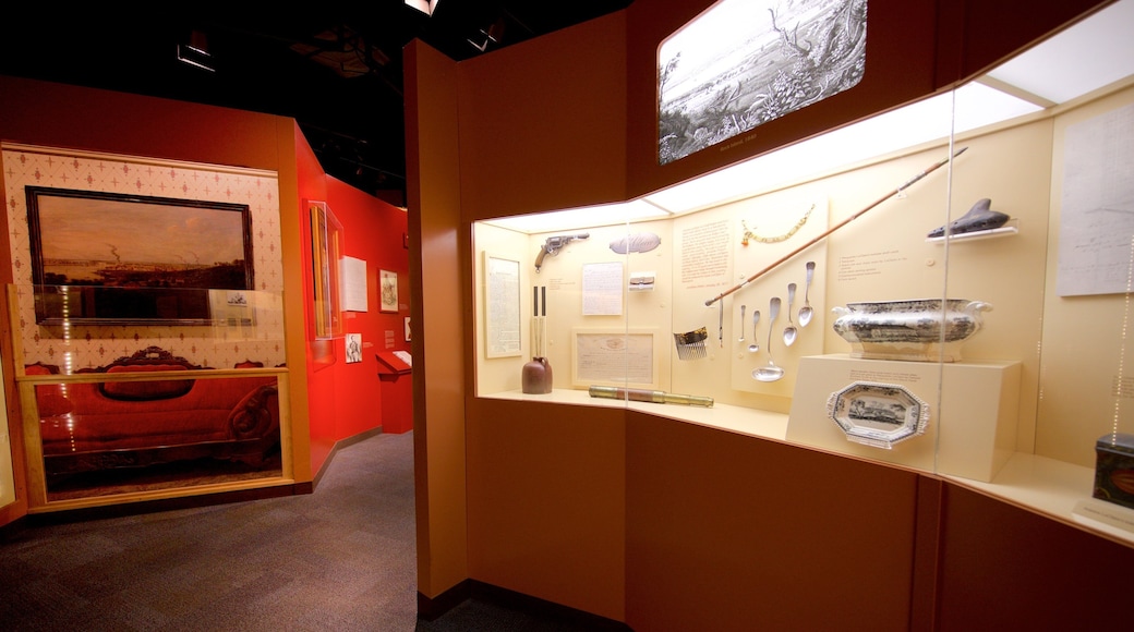 普特南博物館 呈现出 內部景觀