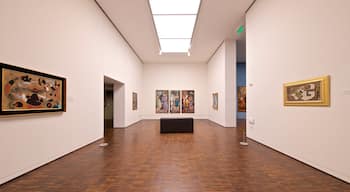Figge Art Museum showing interior views and art