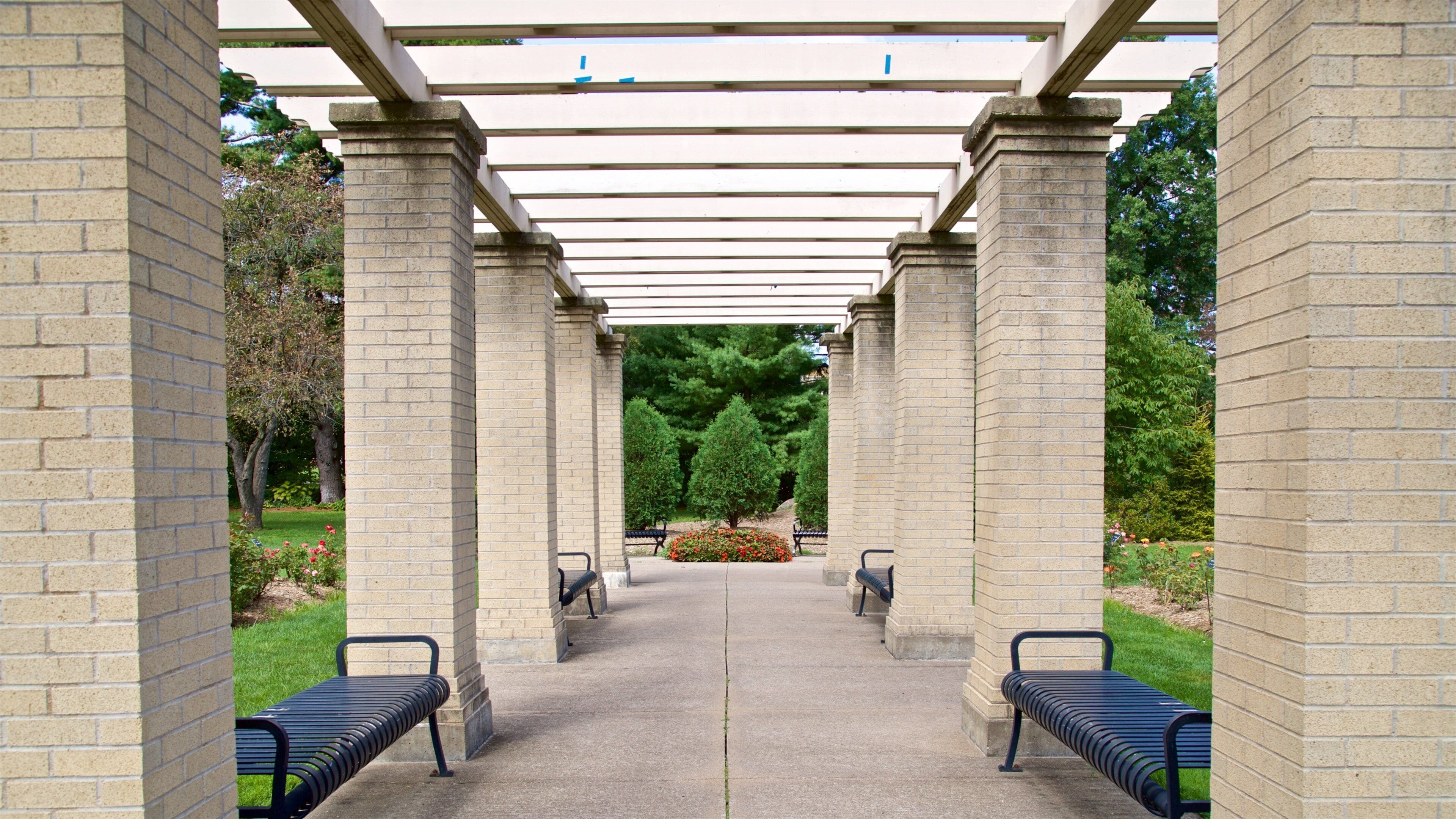 Vander Veer Botanical Park showing a park