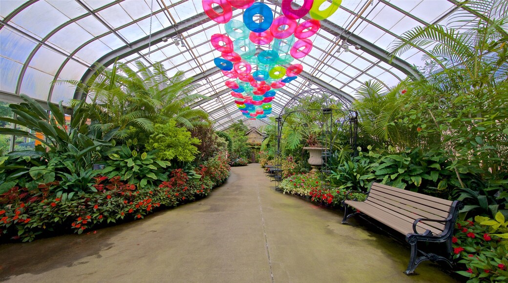Vander Veer Botanical Park showing wildflowers, a park and interior views