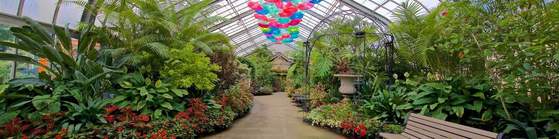 Vander Veer Botanical Park showing wildflowers, a park and interior views