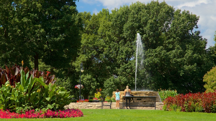 Vander Veer Botanical Park which includes a park, a fountain and wild flowers
