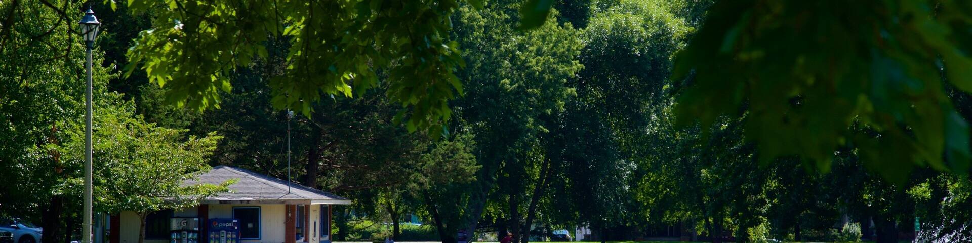 Vander Veer Botanical Park which includes a garden and a lake or waterhole