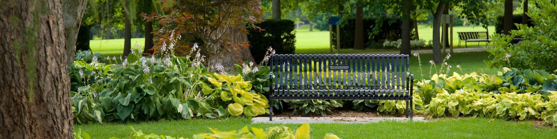 Vander Veer Botanical Park mostrando un jardín y flores silvestres