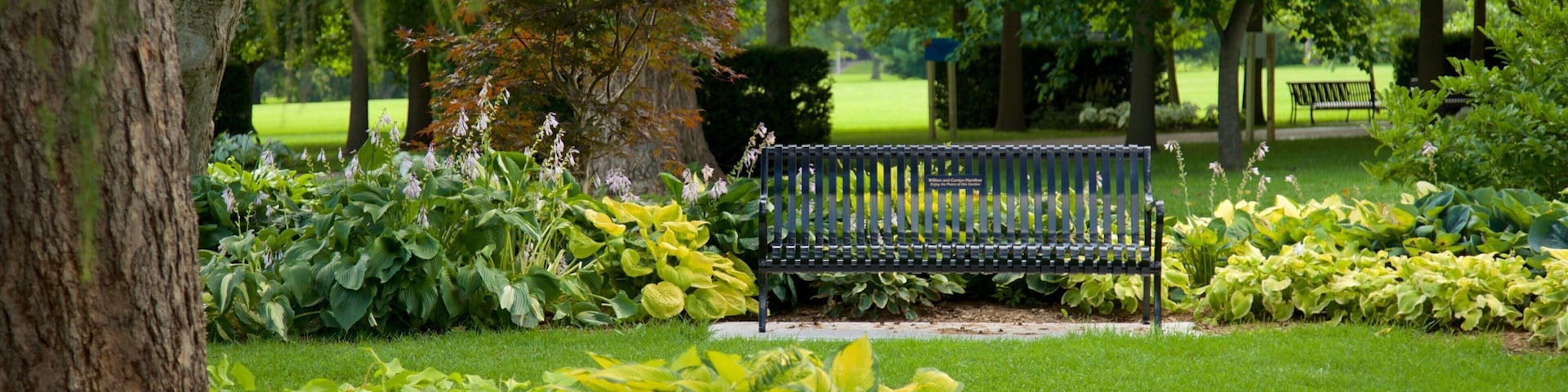 Vander Veer Botanical Park showing wildflowers and a garden