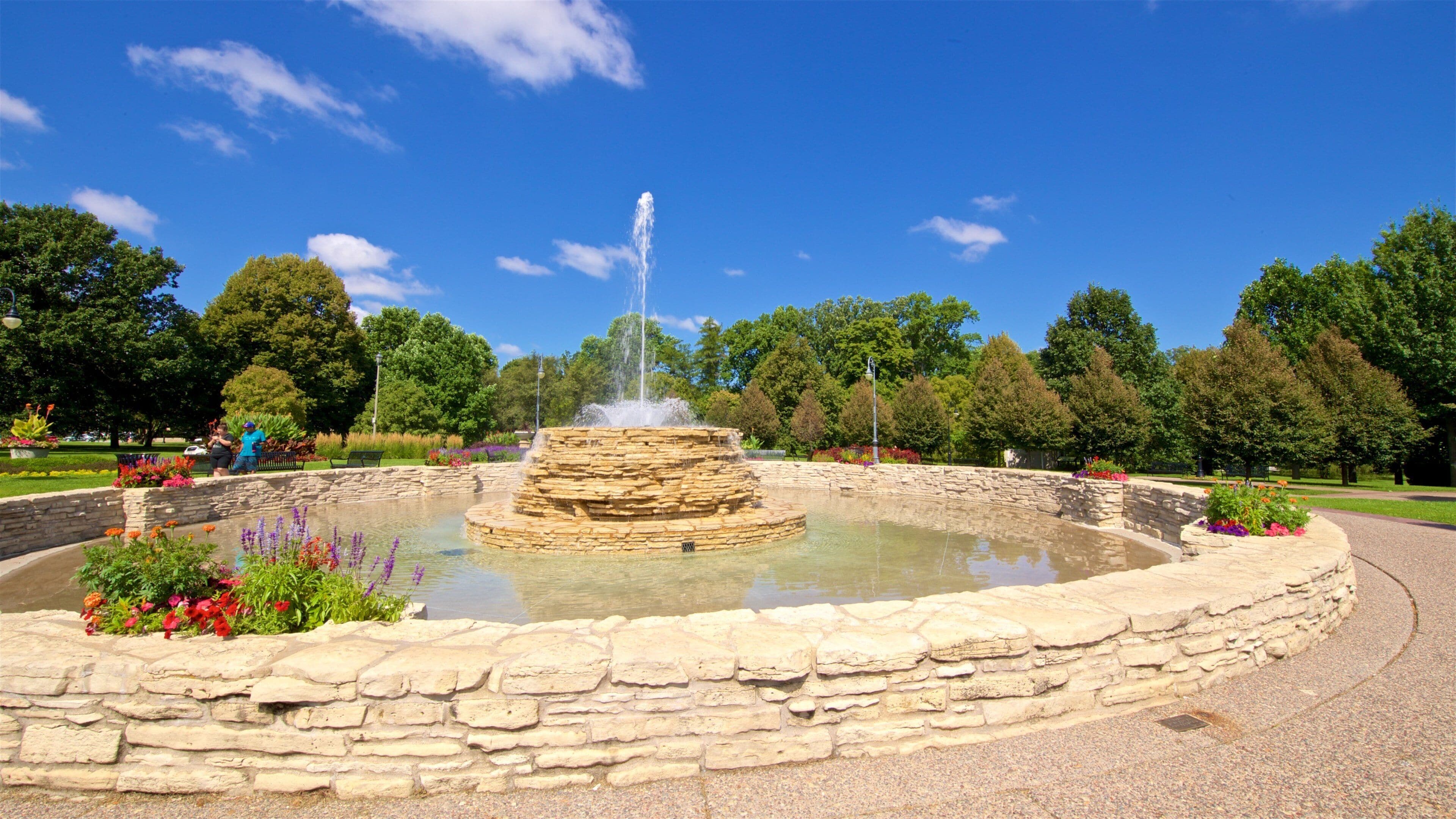 Vander Veer Botanical Park showing a fountain, wildflowers and a park