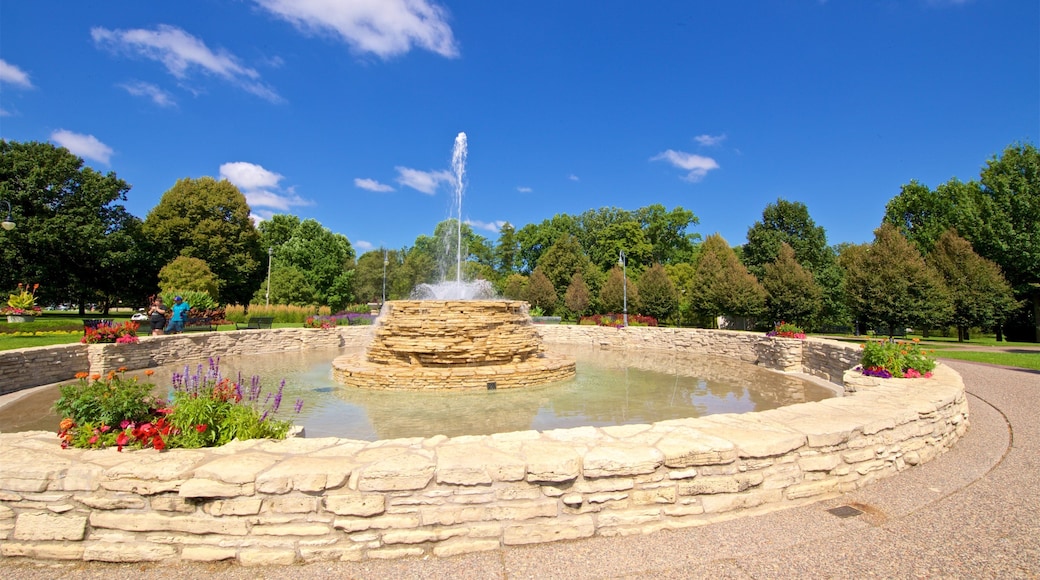 Vander Veer Botanical Park showing a fountain, a garden and wild flowers