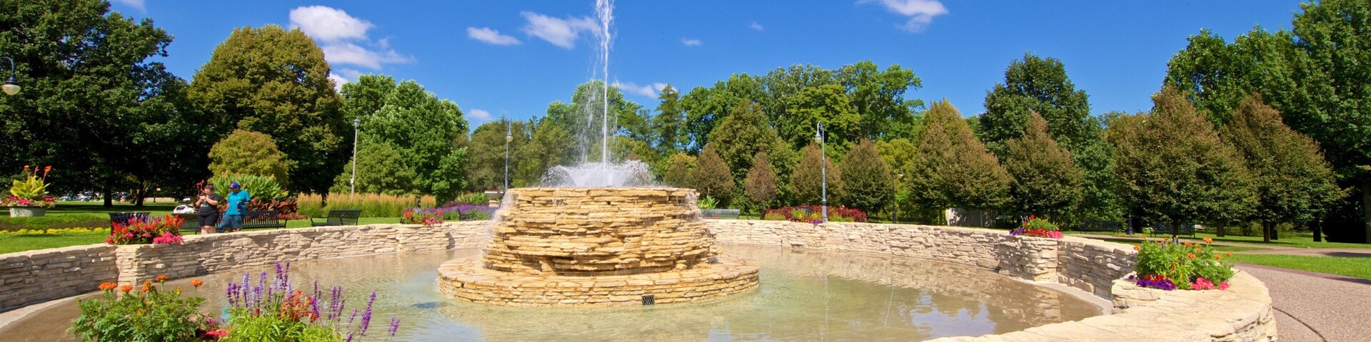 Vander Veer Botanical Park showing a fountain, wildflowers and a park