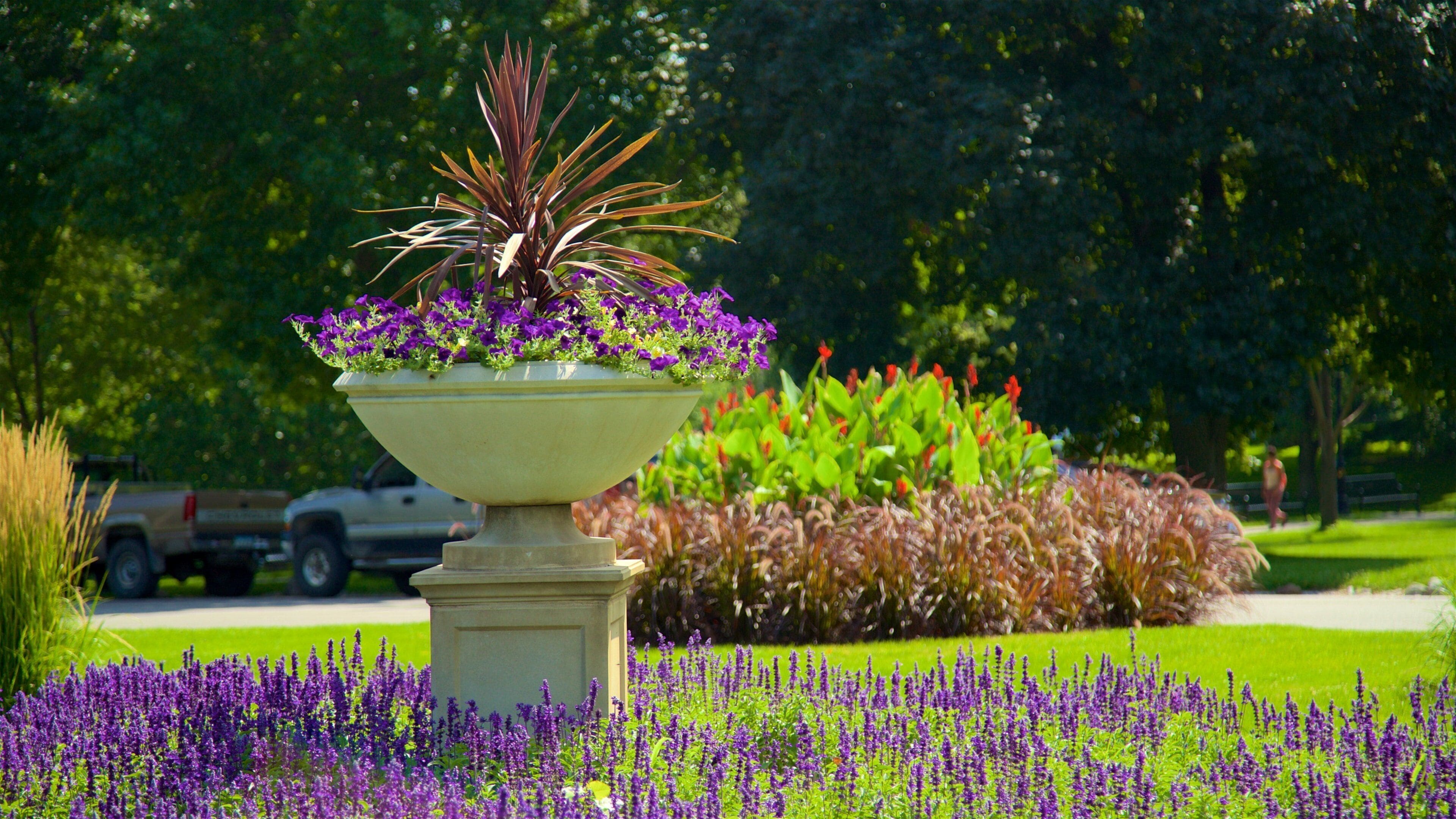 Jardin botanique de Vander Veer mettant en vedette fleurs sauvages et parc