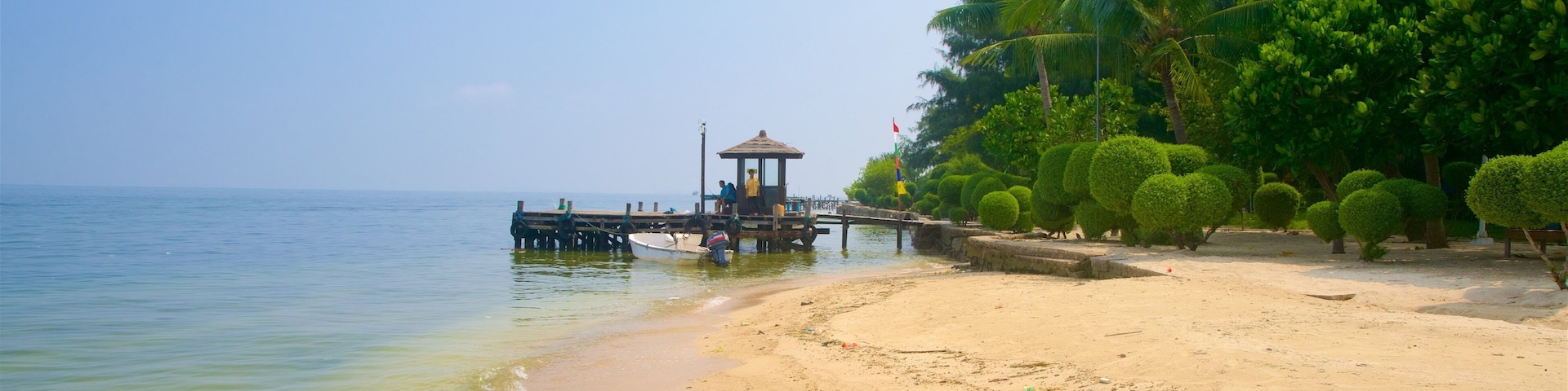 A beach with a wooden pier extending into calm waters, surrounded by lush greenery and palm trees.